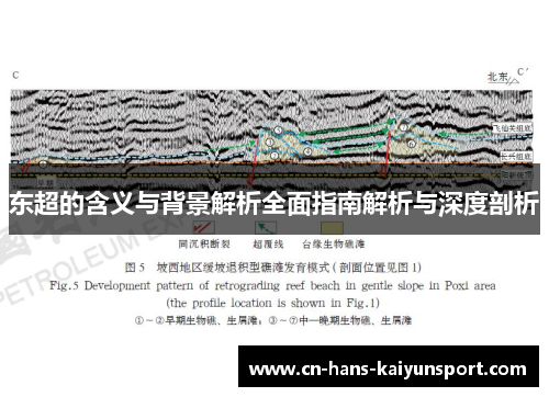 东超的含义与背景解析全面指南解析与深度剖析