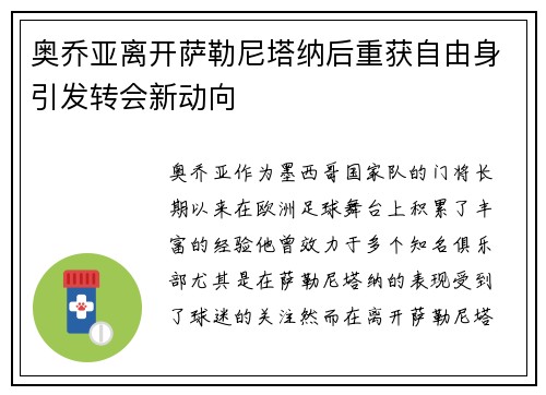 奥乔亚离开萨勒尼塔纳后重获自由身引发转会新动向